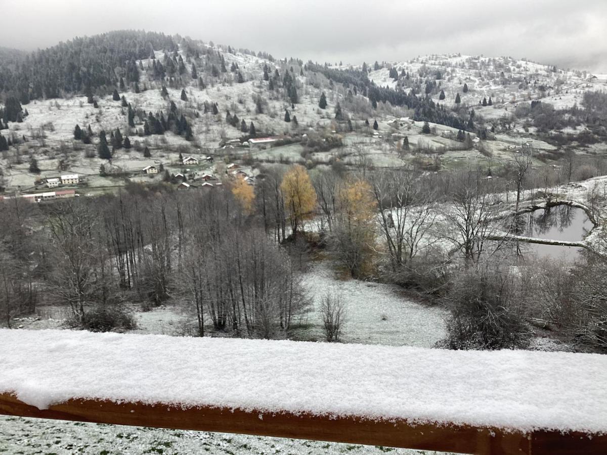 Les Chalets Bambi & Jacuzzi Privatif La Bresse Eksteriør bilde